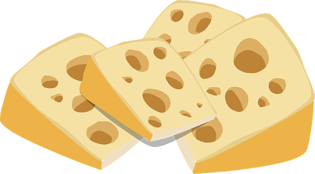 swiss-cheese-575540_640
